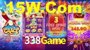 338Game